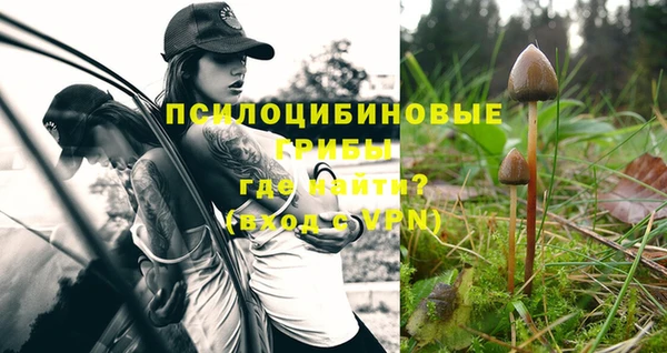 spice Балахна