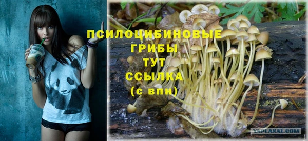 spice Балахна