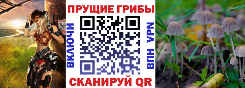 Псилоцибиновые грибы мицелий  Горно-Алтайск 